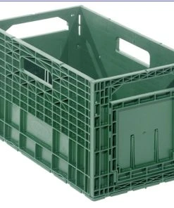 Contacto Weinkiste, Dunkelgrün